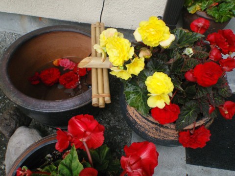 Picture of center opening